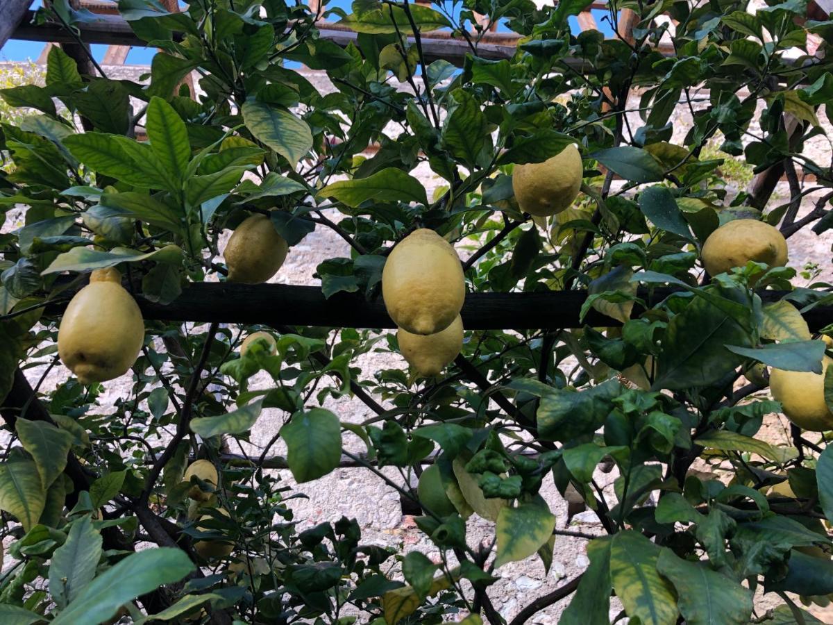 Appartamento Trentino II كومانو تيرمي المظهر الخارجي الصورة